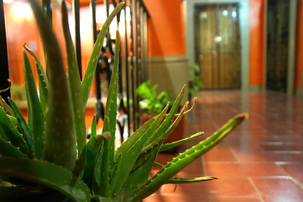 Parador San Fernando Oaxaca 外观 照片